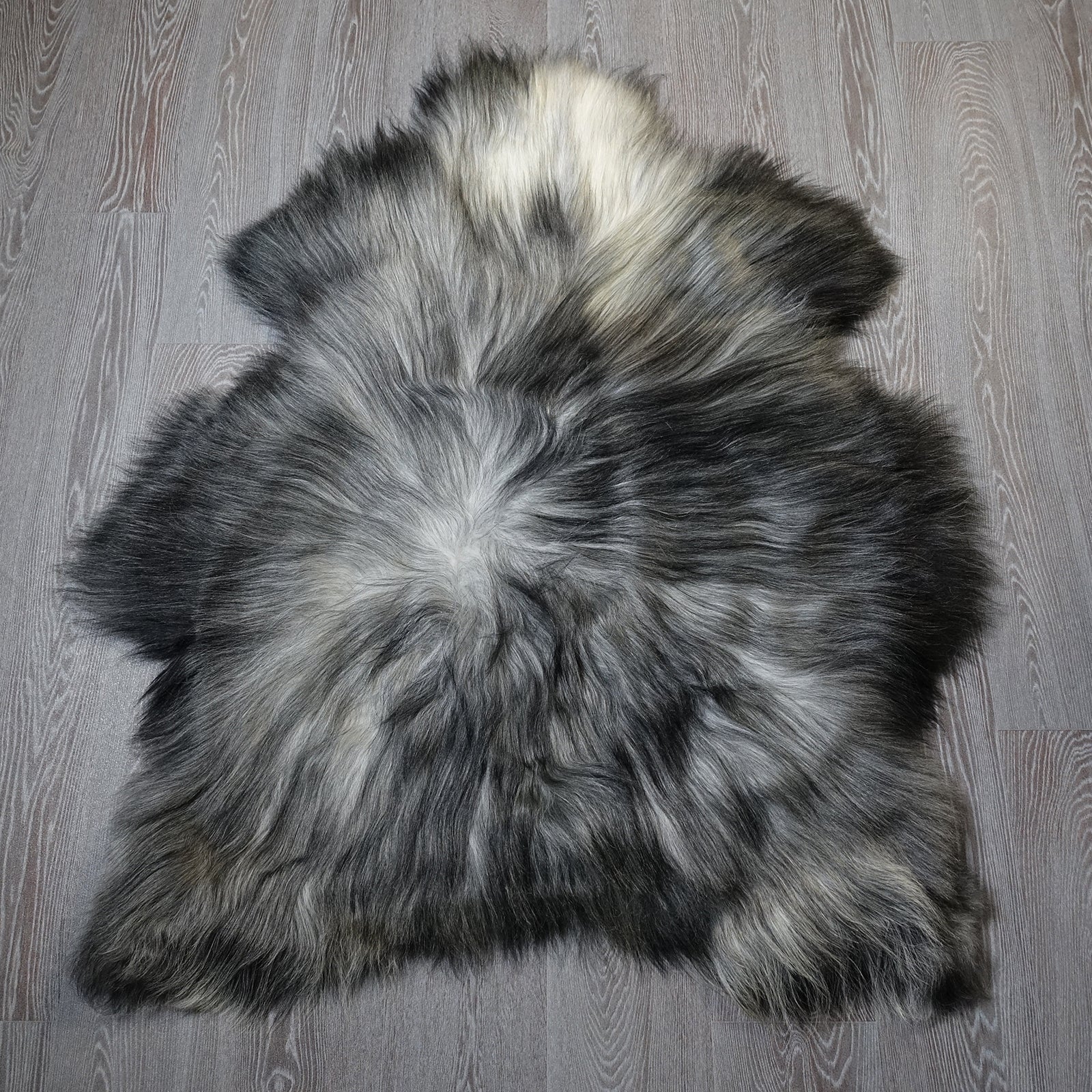 Exklusives Unikat Islandschaffell schwarz - weiß 125x100cm #15939