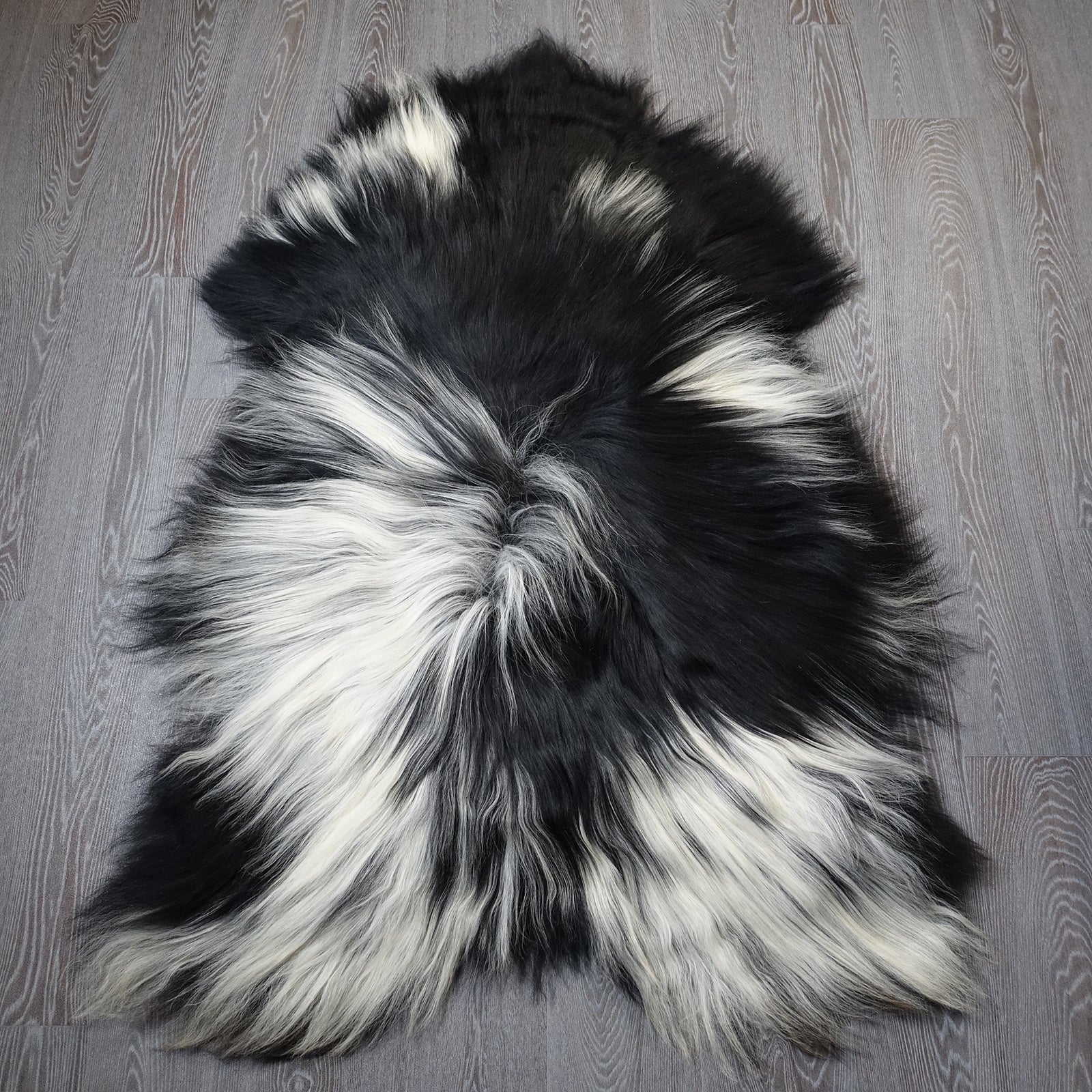 Exklusives Unikat Islandschaffell schwarz - weiß 145x100cm #15941