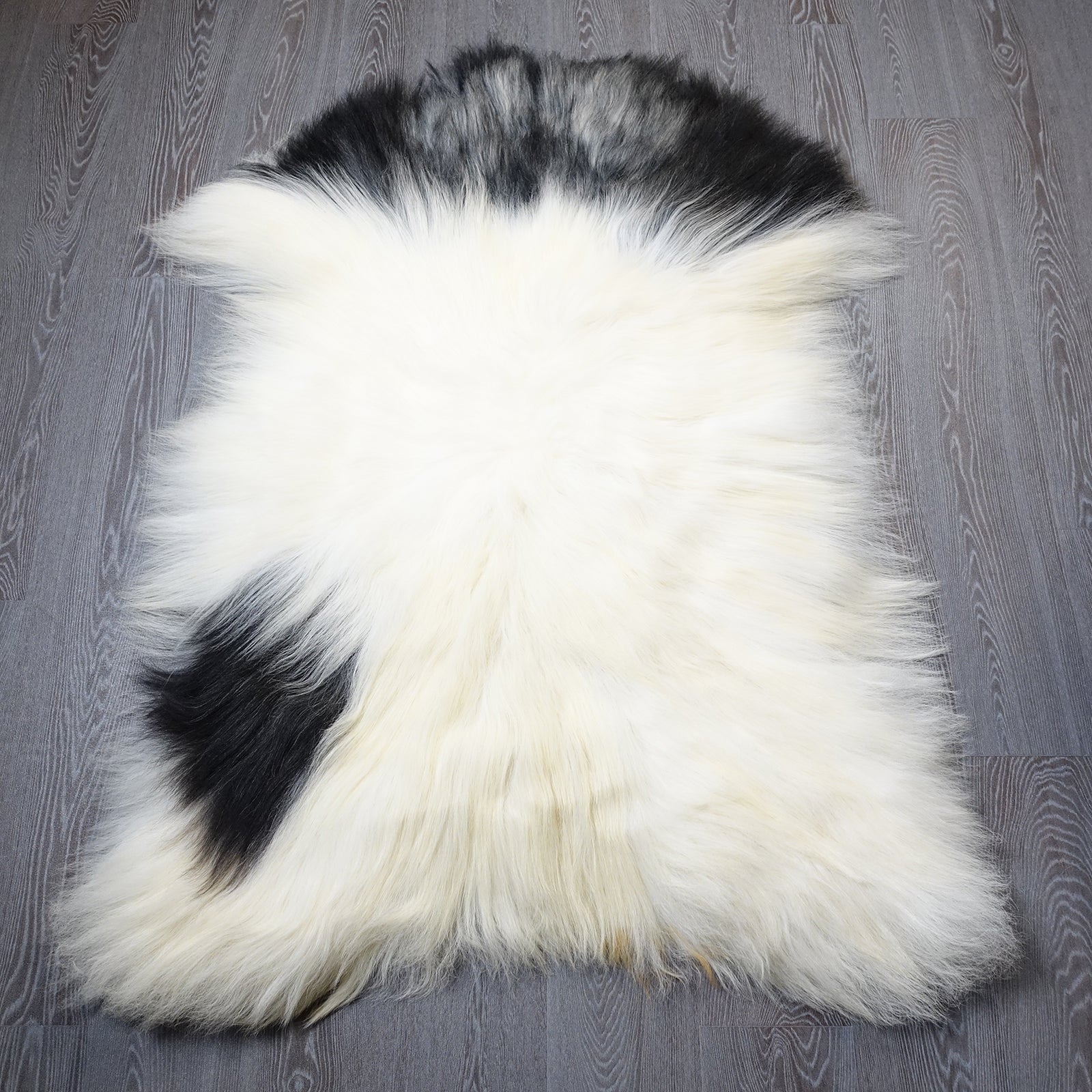 Exklusives Unikat Islandschaffell schwarz - weiß 145x100cm #15943