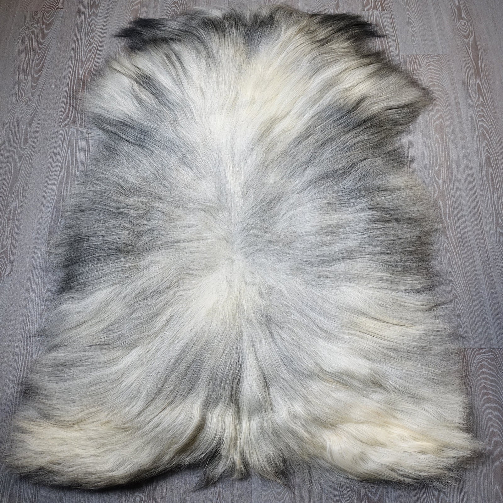 Exklusives Unikat Islandschaffell weiß - grau 165x100cm #15944