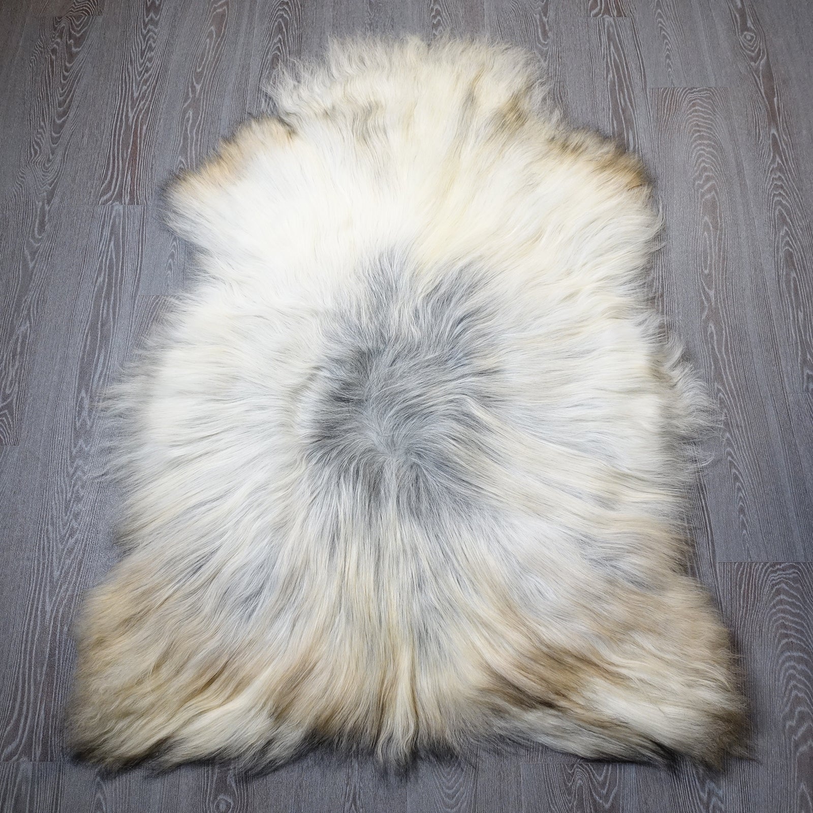 Exklusives Unikat Islandschaffell weiß - braun - grau 150x100cm #15945