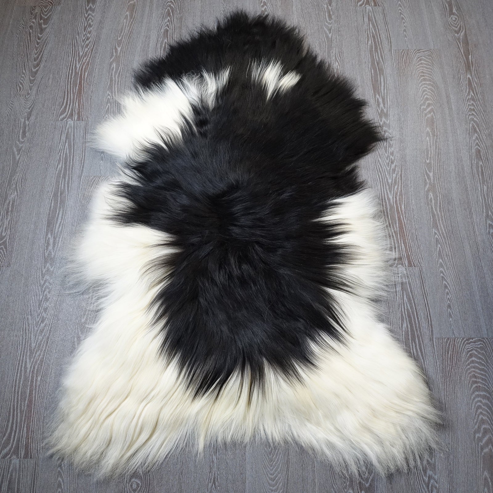 Exklusives Unikat Islandschaffell weiß - schwarz 150x90cm #15948