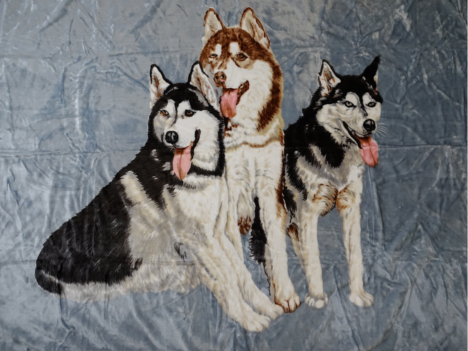 Kuscheldecke Tagesdecke Wohndecke Tiermotiv 3 Huskies blau - 2. Wahl
